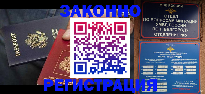 прописка законно в Алексине